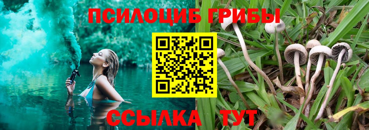 Бахчисарай  Псилоцибиновые грибы мицелий  цена наркотик  Вход с VPN  Псилоцибиновые грибы мицелий 